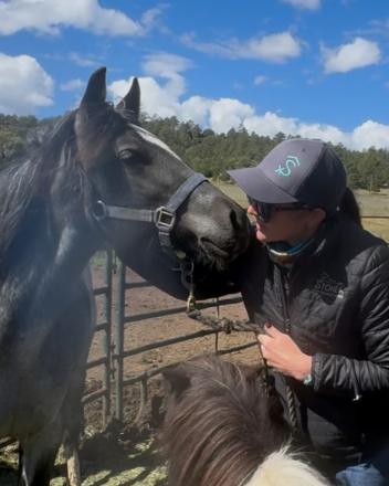 HorseID: 2305801 Blue Bonnet - PhotoID: 1089331