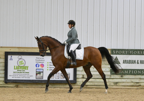 HorseID: 2305814 Commando MJB - PhotoID: 1089342