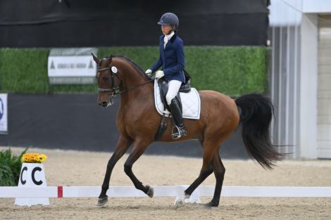 HorseID: 2305814 Commando MJB - PhotoID: 1089452