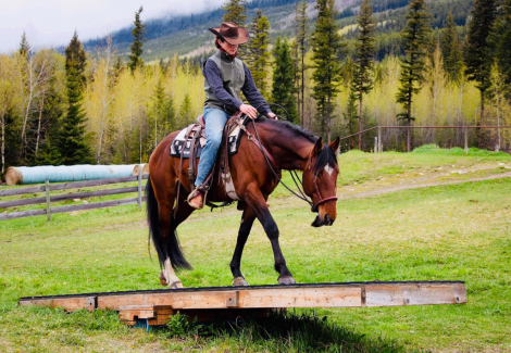 HorseID: 2305825 TRAEGER - PhotoID: 1089356