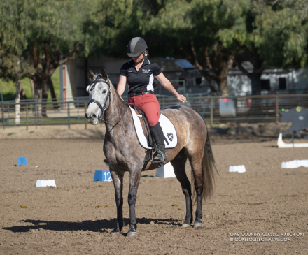 HorseID: 2305833 Hermosa Herencina - PhotoID: 1089370