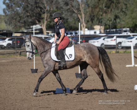 HorseID: 2305833 Hermosa Herencina - PhotoID: 1089371