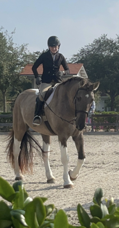 HorseID: 2305861 Duke - PhotoID: 1089419