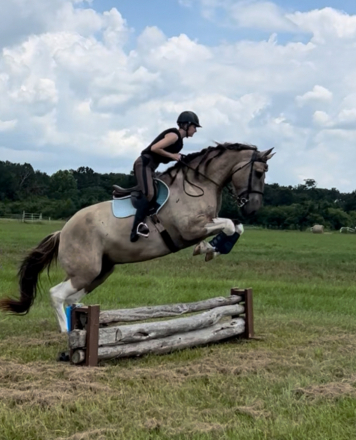 HorseID: 2305861 Duke - PhotoID: 1089420