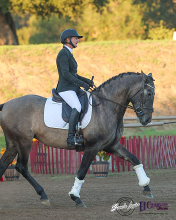 HorseID: 2305870 PEARL - PhotoID: 1089437