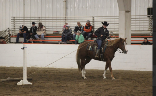 HorseID: 2305875 SH Oh So Good - PhotoID: 1089440