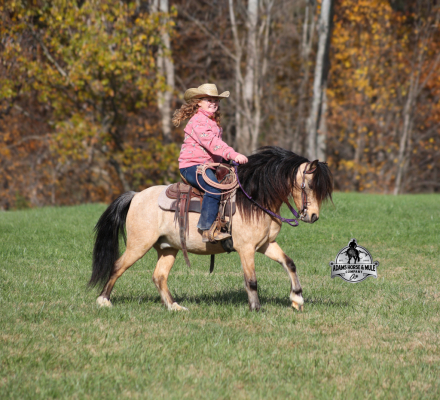 HorseID: 2305910 THE AMAZING Keychain - PhotoID: 1089477