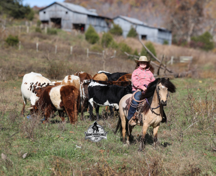 HorseID: 2305910 THE AMAZING Keychain - PhotoID: 1089478