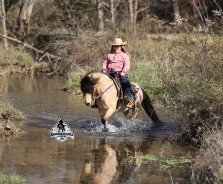 HorseID: 2305910 THE AMAZING Keychain - PhotoID: 1089479