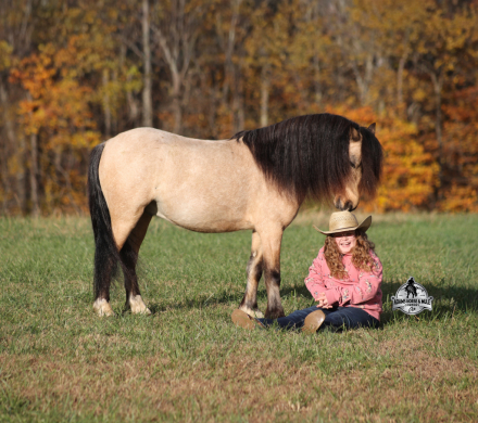 HorseID: 2305910 THE AMAZING Keychain - PhotoID: 1089480