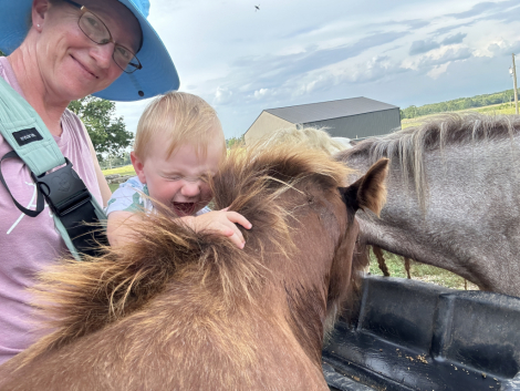 HorseID: 2305924 Superhero Shine of Willow Rock - PhotoID: 1089499