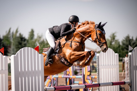 HorseID: 2305947 Valiane - PhotoID: 1089503