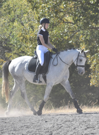 HorseID: 2305949 Monte Carlo SCS - PhotoID: 1089626