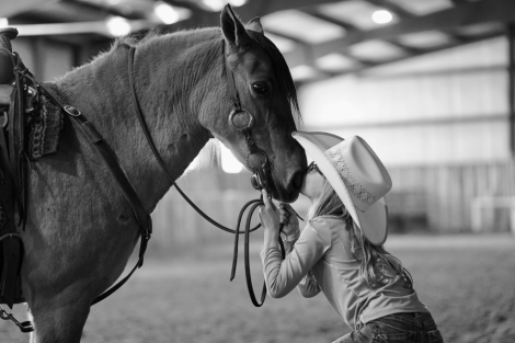 HorseID: 2305977 Bobo - PhotoID: 1089555