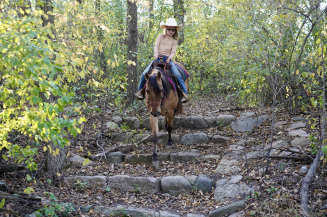 HorseID: 2305977 Bobo - PhotoID: 1089556