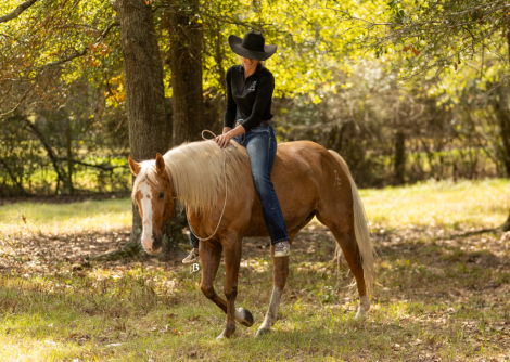 HorseID: 2305987 Spot A Fire Water - PhotoID: 1089571