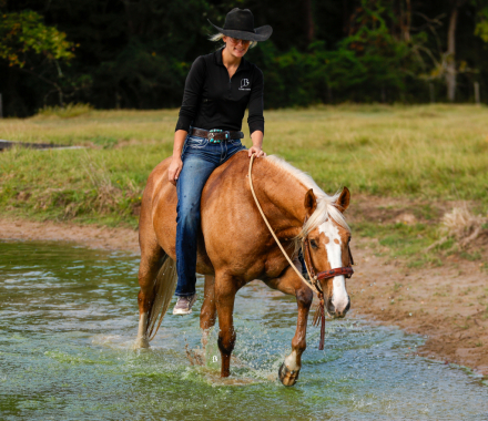 HorseID: 2305987 Spot A Fire Water - PhotoID: 1089572