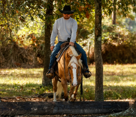 HorseID: 2305987 Spot A Fire Water - PhotoID: 1089573