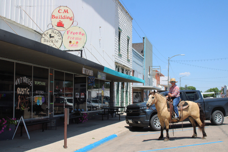 HorseID: 2305995 Munchy - PhotoID: 1089634