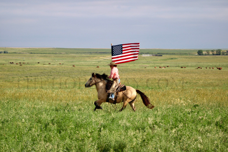 HorseID: 2305995 Munchy - PhotoID: 1089636