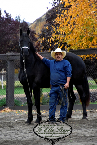 HorseID: 2306013 B Elle Starr - PhotoID: 1089603