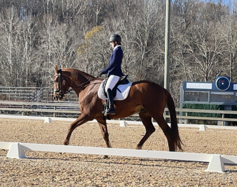 HorseID: 2306018 MRK Pumped Up Kicks - PhotoID: 1089605