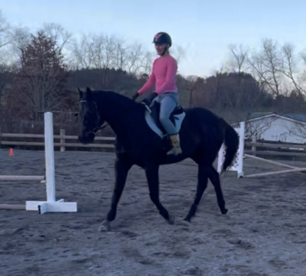 HorseID: 2306024 Congrats to MK - PhotoID: 1089628