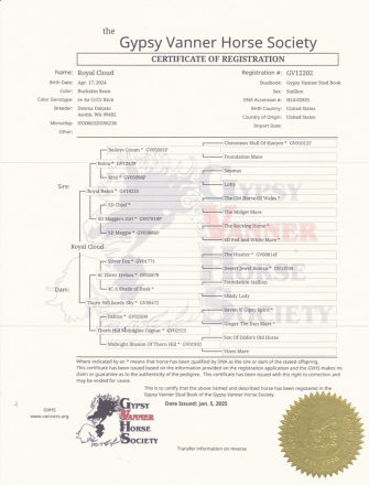 HorseID: 2306032 Royal Cloud - PhotoID: 1089651