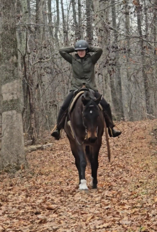 HorseID: 2306063 Boogie - PhotoID: 1089671