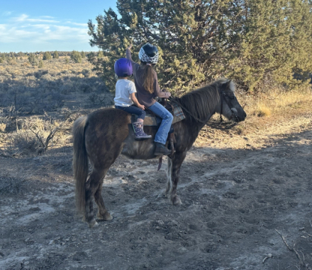 HorseID: 2306070 Peanut - PhotoID: 1089679