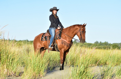 HorseID: 2306072 Sweet Topline - PhotoID: 1089683