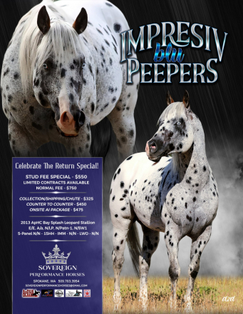 HorseID: 2306073 Impresiv Blu Peepers - PhotoID: 1089688