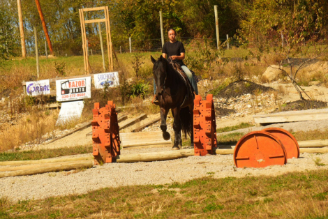 HorseID: 2306082 Jet 10 Day Guarantee - PhotoID: 1089748