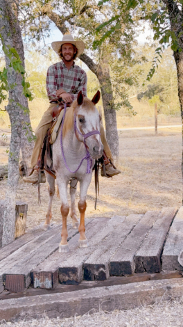 HorseID: 2306124 Suzie Q - PhotoID: 1089755