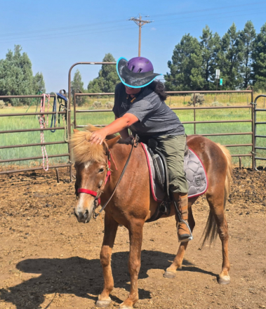 HorseID: 2306128 Ljufa - PhotoID: 1089772