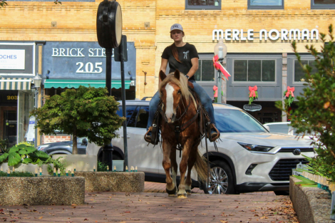 HorseID: 2306131 Whiskies Jack D TR - PhotoID: 1089776