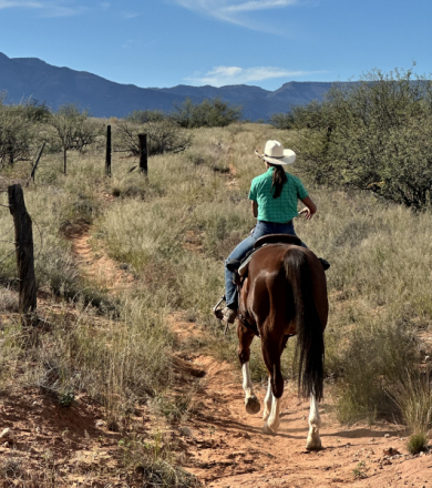 HorseID: 2306136 PBars Native Frost - PhotoID: 1089795