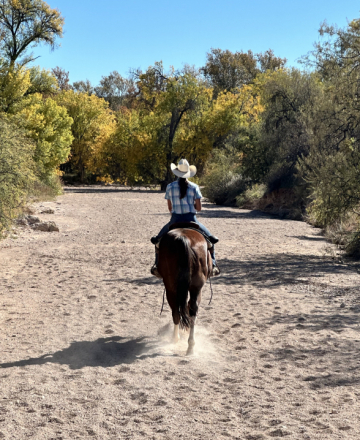 HorseID: 2306136 PBars Native Frost - PhotoID: 1089796