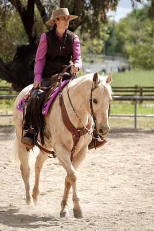 HorseID: 2306138 Sunshine N Whizkey - PhotoID: 1089798