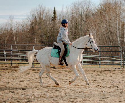 HorseID: 2306142 Bo Jangle - PhotoID: 1089800