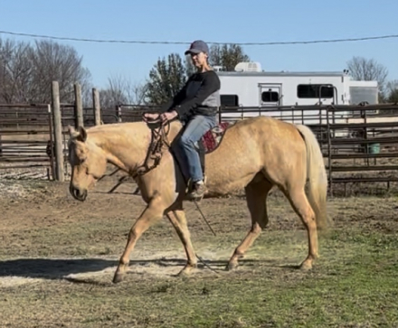 HorseID: 2306155 Magic On Dee Deck - PhotoID: 1089804