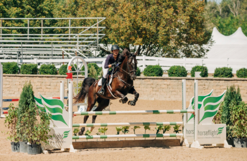 HorseID: 2306160 Karino - PhotoID: 1089807