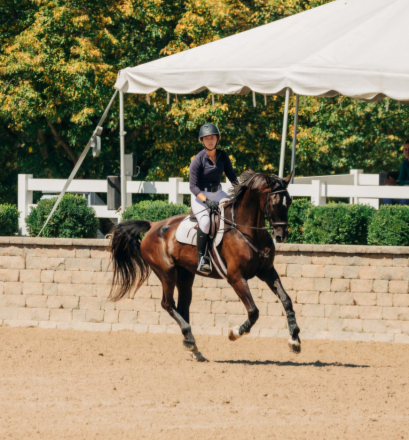 HorseID: 2306160 Karino - PhotoID: 1089808