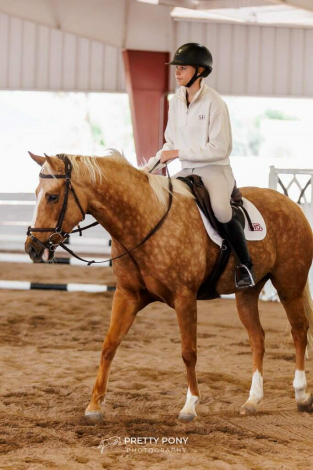 HorseID: 2306171 Ruby - PhotoID: 1089814