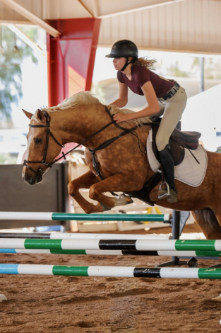 HorseID: 2306171 Ruby - PhotoID: 1089816