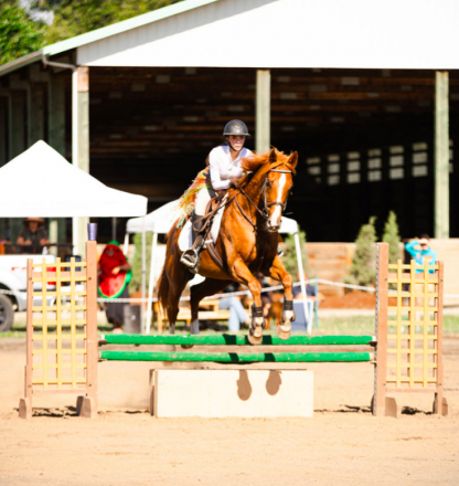 HorseID: 2306198 Radio Flyer - PhotoID: 1089842