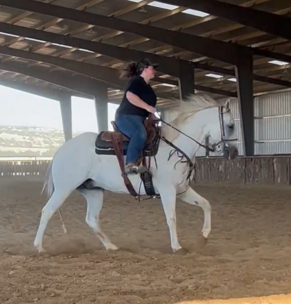 HorseID: 2306200 Pancho - PhotoID: 1089869