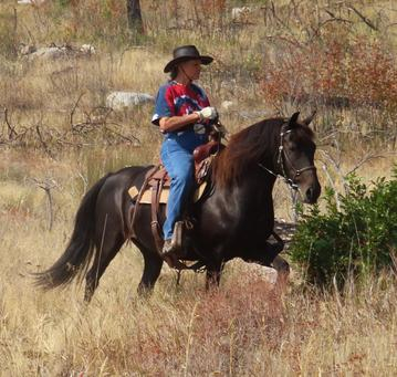 HorseID: 2306204 Okan Empress - PhotoID: 1089848