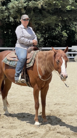 HorseID: 2306207 Smarty - PhotoID: 1089857