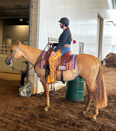 HorseID: 2306252 Four Mac Stroker - PhotoID: 1089918